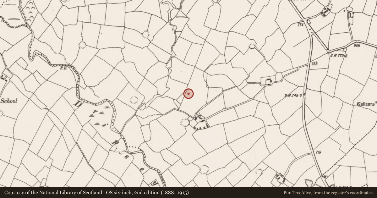 Ordnance Survey six-inch map, 2nd edition (1888–1915) covering the location of Fulacht fia, Barrahaurin, County Cork, with a pin at the register's coordinates