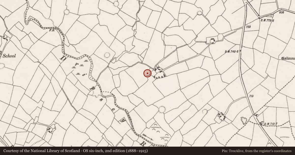 Ordnance Survey six-inch map, 2nd edition (1888–1915) covering the location of Ringfort - rath, Barrahaurin, County Cork, with a pin at the register's coordinates