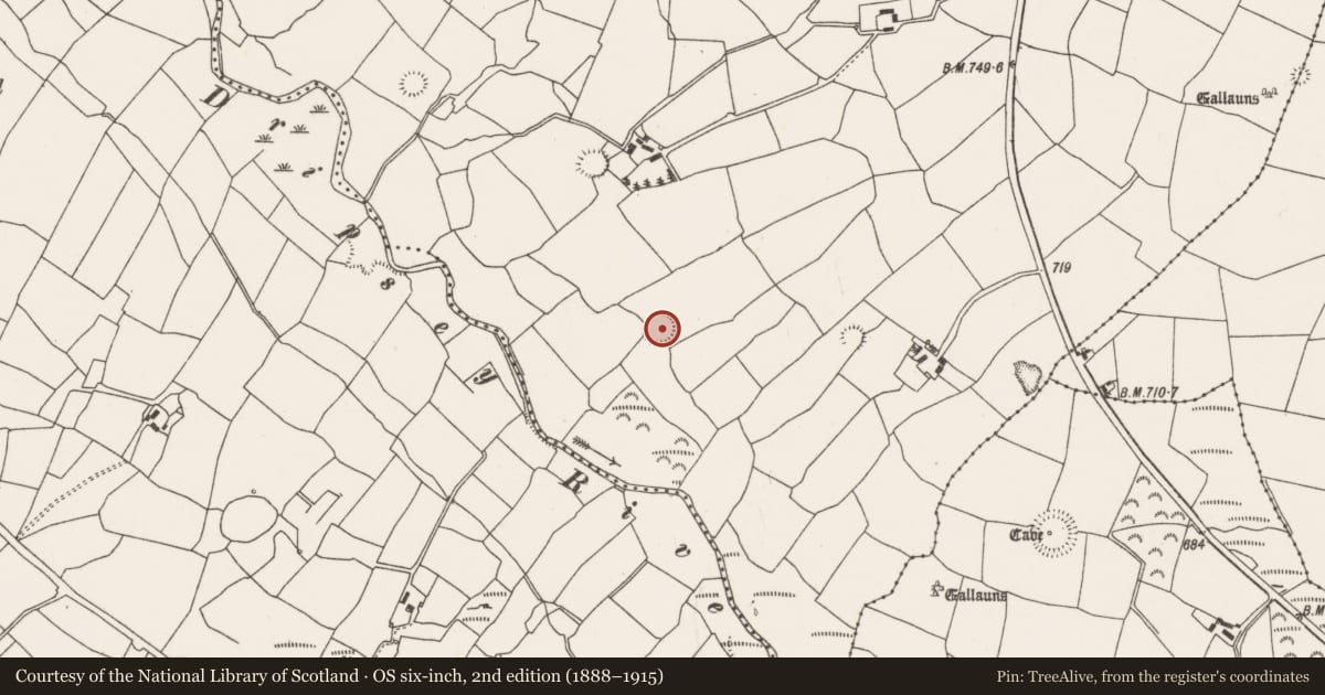 Ordnance Survey six-inch map, 2nd edition (1888–1915) covering the location of Cupmarked stone, Barrahaurin, County Cork, with a pin at the register's coordinates