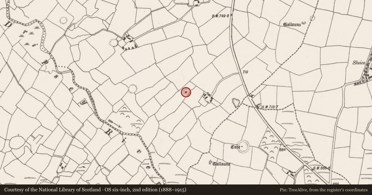 Ordnance Survey six-inch map, 2nd edition (1888–1915) covering the location of Ringfort - rath, Barrahaurin, County Cork, with a pin at the register's coordinates