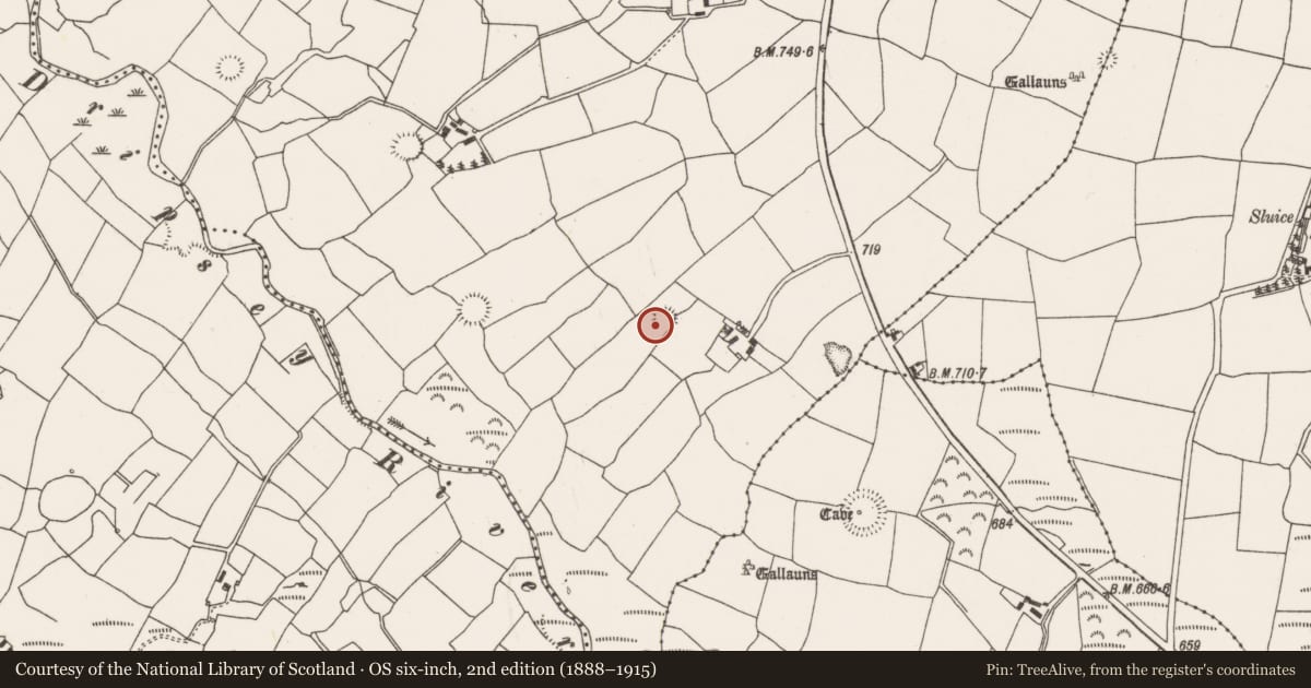 Ordnance Survey six-inch map, 2nd edition (1888–1915) covering the location of Standing stone, Barrahaurin, County Cork, with a pin at the register's coordinates