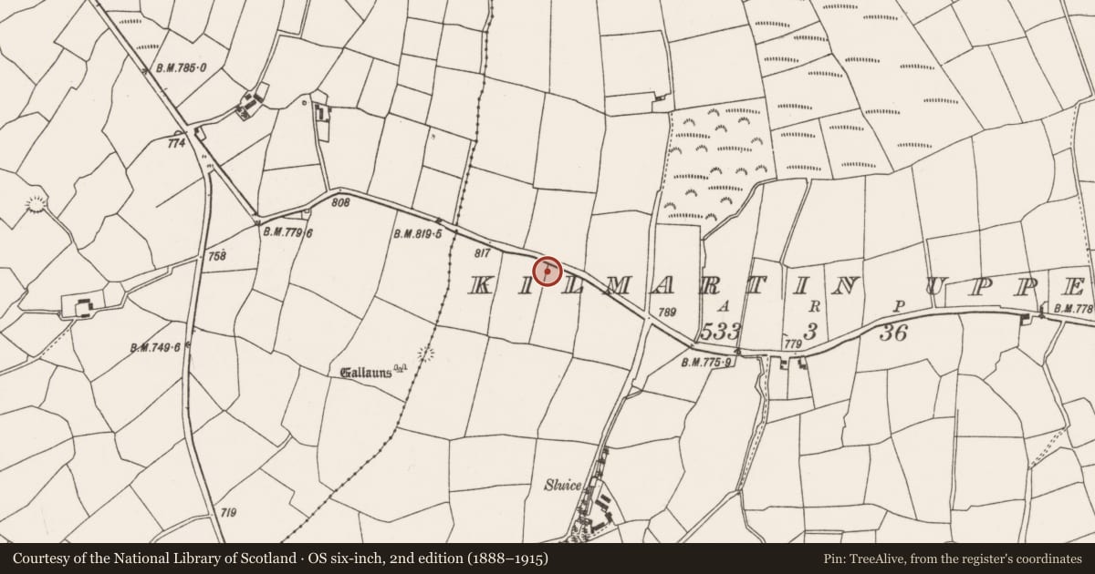 Ordnance Survey six-inch map, 2nd edition (1888–1915) covering the location of Cist, Kilmartin Upper, County Cork, with a pin at the register's coordinates