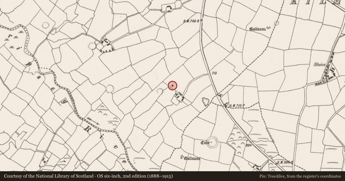 Ordnance Survey six-inch map, 2nd edition (1888–1915) covering the location of Fulacht fia, Barrahaurin, County Cork, with a pin at the register's coordinates