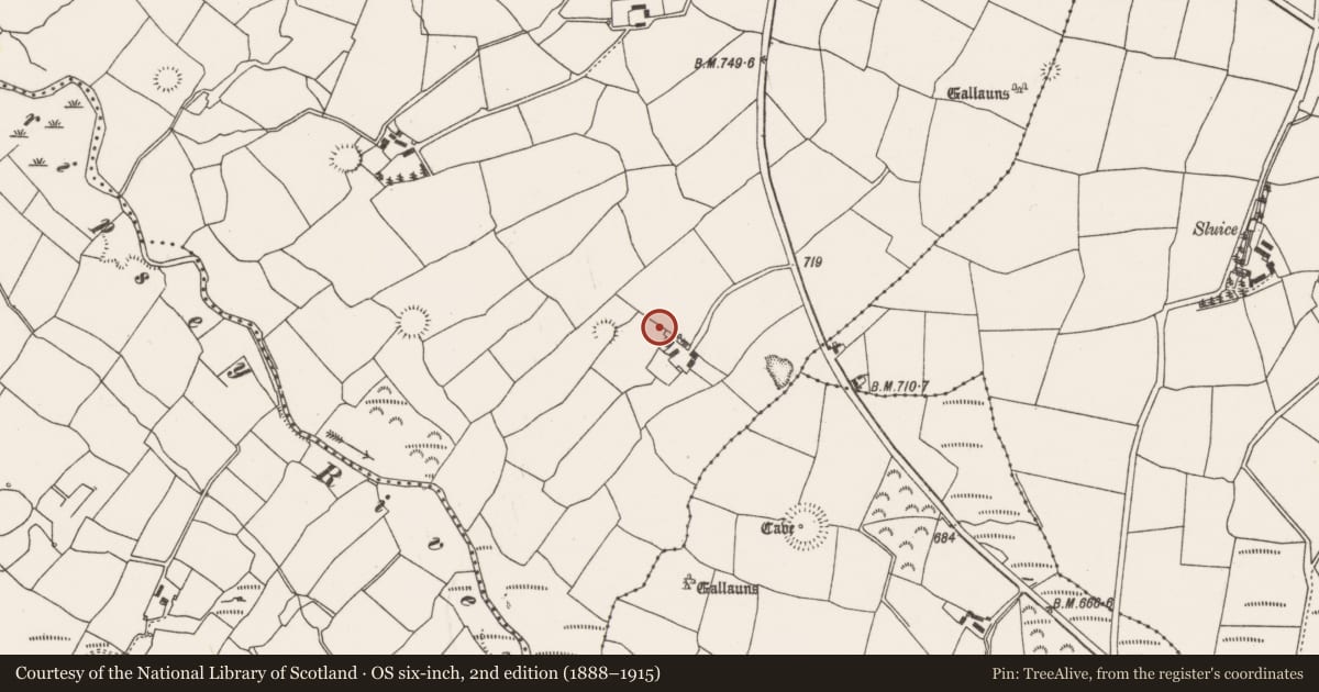 Ordnance Survey six-inch map, 2nd edition (1888–1915) covering the location of Fulacht fia, Barrahaurin, County Cork, with a pin at the register's coordinates