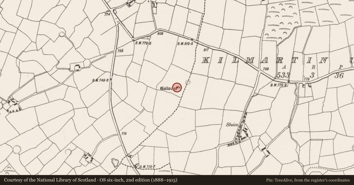Ordnance Survey six-inch map, 2nd edition (1888–1915) covering the location of Stone row, Barrahaurin, County Cork, with a pin at the register's coordinates