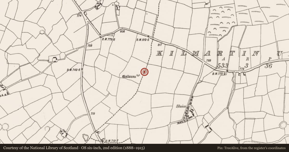 Ordnance Survey six-inch map, 2nd edition (1888–1915) covering the location of Barrow - ring-barrow, Barrahaurin, Kilmartin Upper, County Cork, with a pin at the register's coordinates