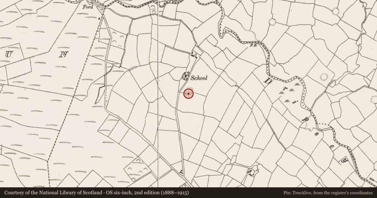 Ordnance Survey six-inch map, 2nd edition (1888–1915) covering the location of Souterrain, Kilcullen South, County Cork, with a pin at the register's coordinates