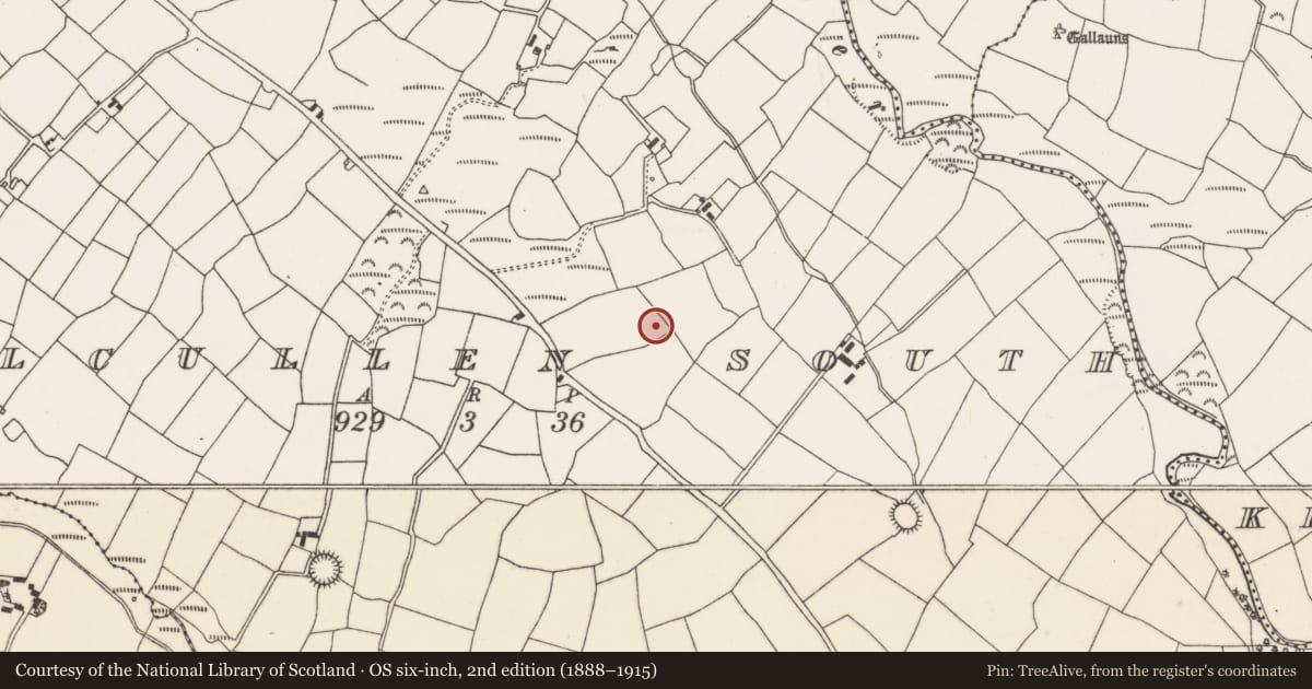 Ordnance Survey six-inch map, 2nd edition (1888–1915) covering the location of Standing stone, Kilcullen South, County Cork, with a pin at the register's coordinates