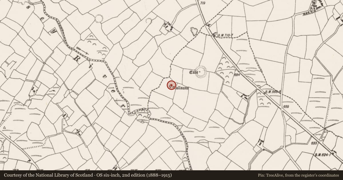 Ordnance Survey six-inch map, 2nd edition (1888–1915) covering the location of Stone circle - multiple-stone, Kilmartin Lower, County Cork, with a pin at the register's coordinates