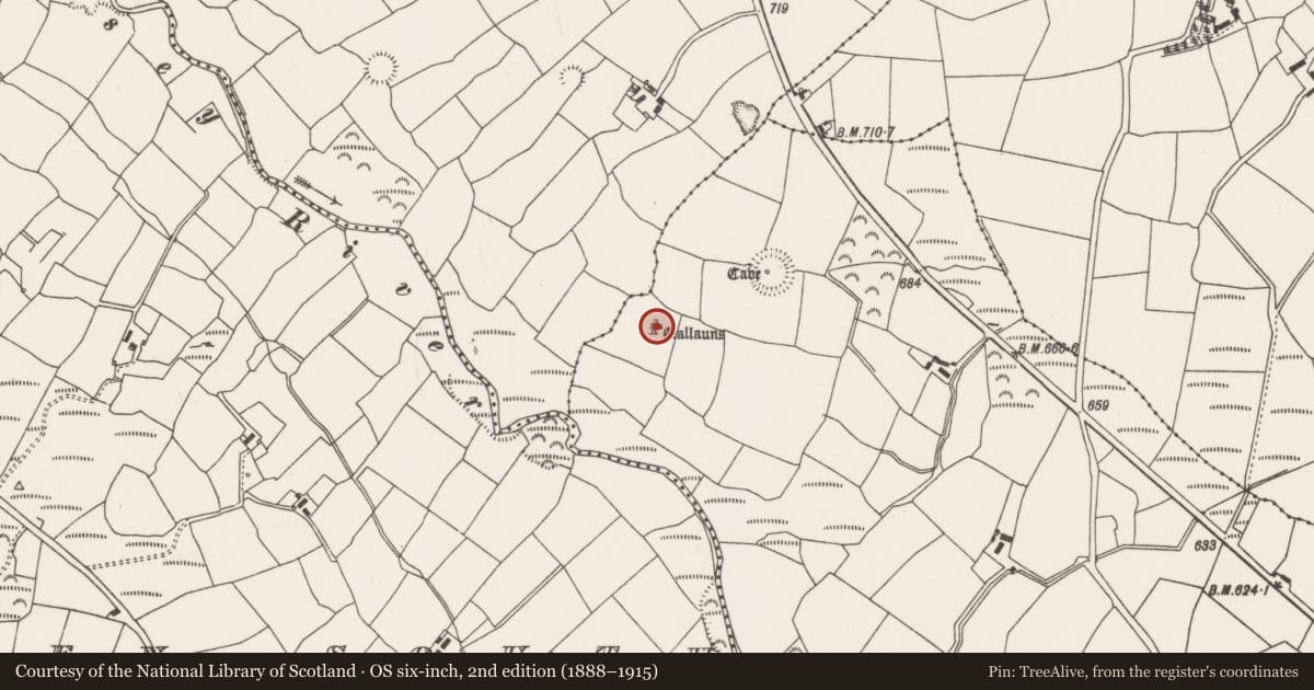 Ordnance Survey six-inch map, 2nd edition (1888–1915) covering the location of Standing stone, Kilmartin Lower, County Cork, with a pin at the register's coordinates