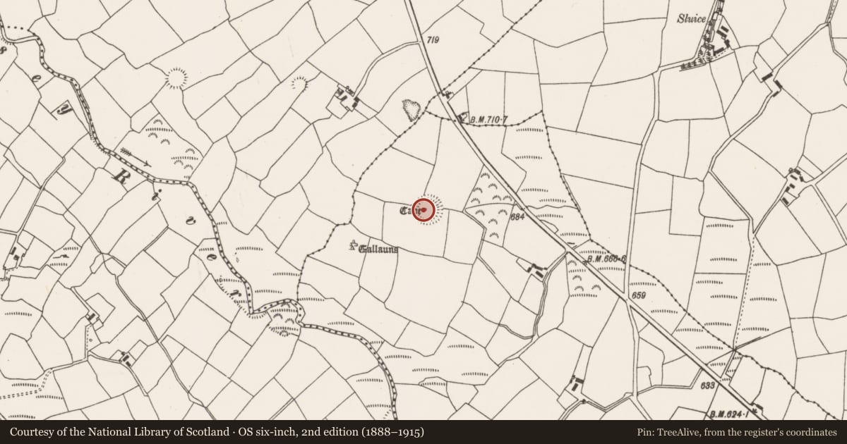 Ordnance Survey six-inch map, 2nd edition (1888–1915) covering the location of Souterrain, Kilmartin Lower, County Cork, with a pin at the register's coordinates