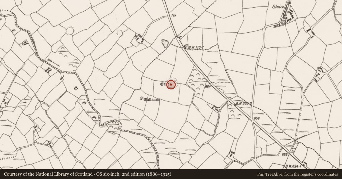 Ordnance Survey six-inch map, 2nd edition (1888–1915) covering the location of Ogham stone, Kilmartin Lower, County Cork, with a pin at the register's coordinates