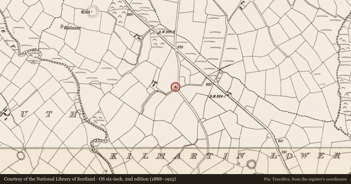 Ordnance Survey six-inch map, 2nd edition (1888–1915) covering the location of Ringfort - rath, Kilmartin Lower, County Cork, with a pin at the register's coordinates