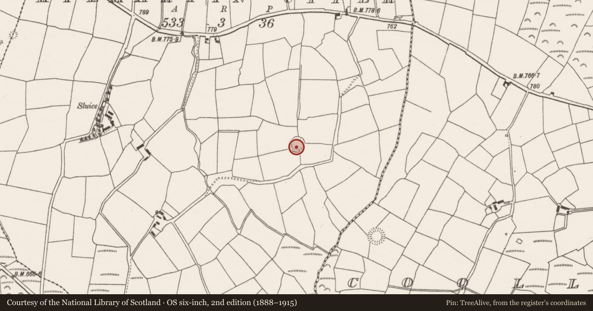 Ordnance Survey six-inch map, 2nd edition (1888–1915) covering the location of Ringfort - rath, Kilmartin Upper, County Cork, with a pin at the register's coordinates