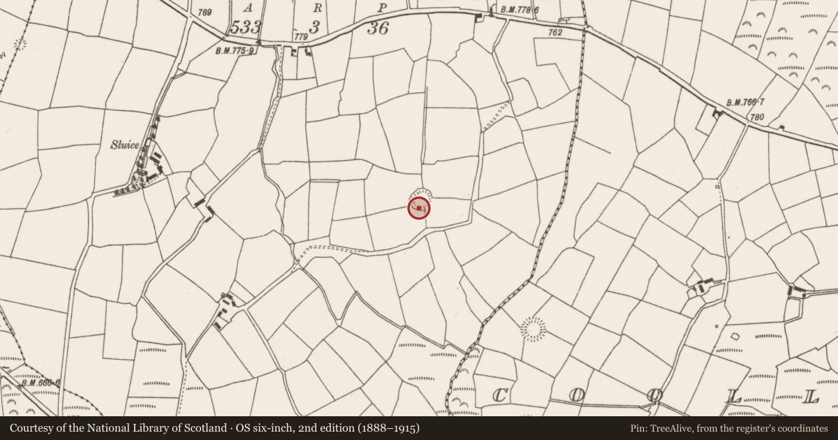 Ordnance Survey six-inch map, 2nd edition (1888–1915) covering the location of Souterrain, Kilmartin Upper, County Cork, with a pin at the register's coordinates