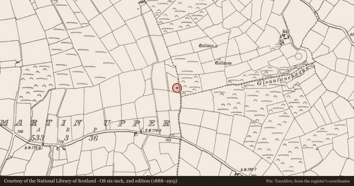 Ordnance Survey six-inch map, 2nd edition (1888–1915) covering the location of Fulacht fia, Kilmartin Upper, County Cork, with a pin at the register's coordinates