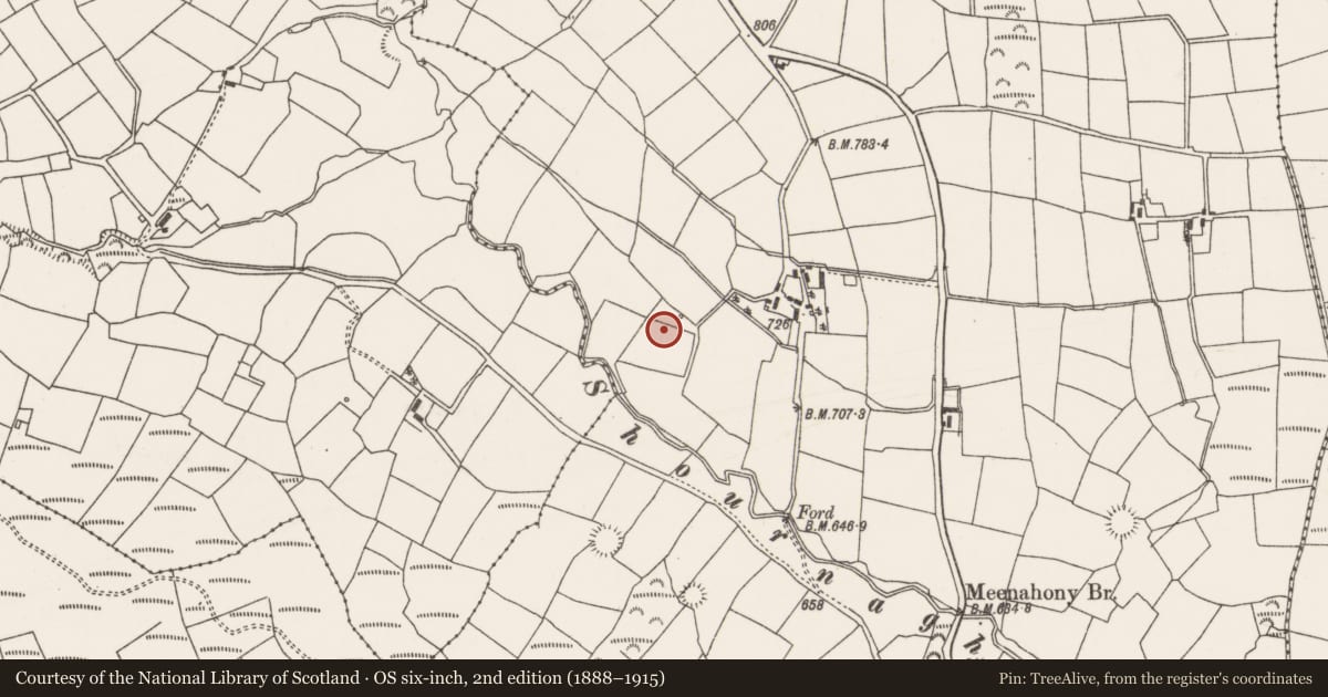 Ordnance Survey six-inch map, 2nd edition (1888–1915) covering the location of Fulacht fia, Meenahony, County Cork, with a pin at the register's coordinates