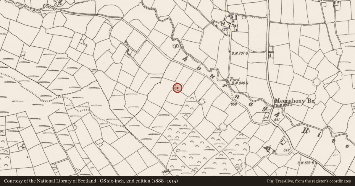 Ordnance Survey six-inch map, 2nd edition (1888–1915) covering the location of Ringfort - rath, Meenahony, County Cork, with a pin at the register's coordinates