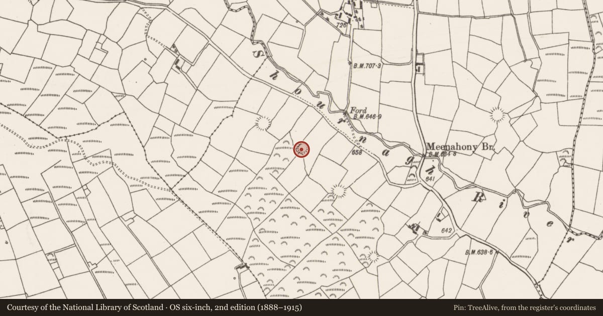 Ordnance Survey six-inch map, 2nd edition (1888–1915) covering the location of Ringfort - rath, Meenahony, County Cork, with a pin at the register's coordinates