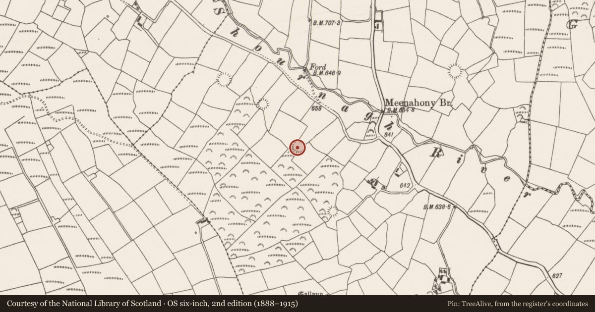 Ordnance Survey six-inch map, 2nd edition (1888–1915) covering the location of Ringfort - rath, Meenahony, County Cork, with a pin at the register's coordinates
