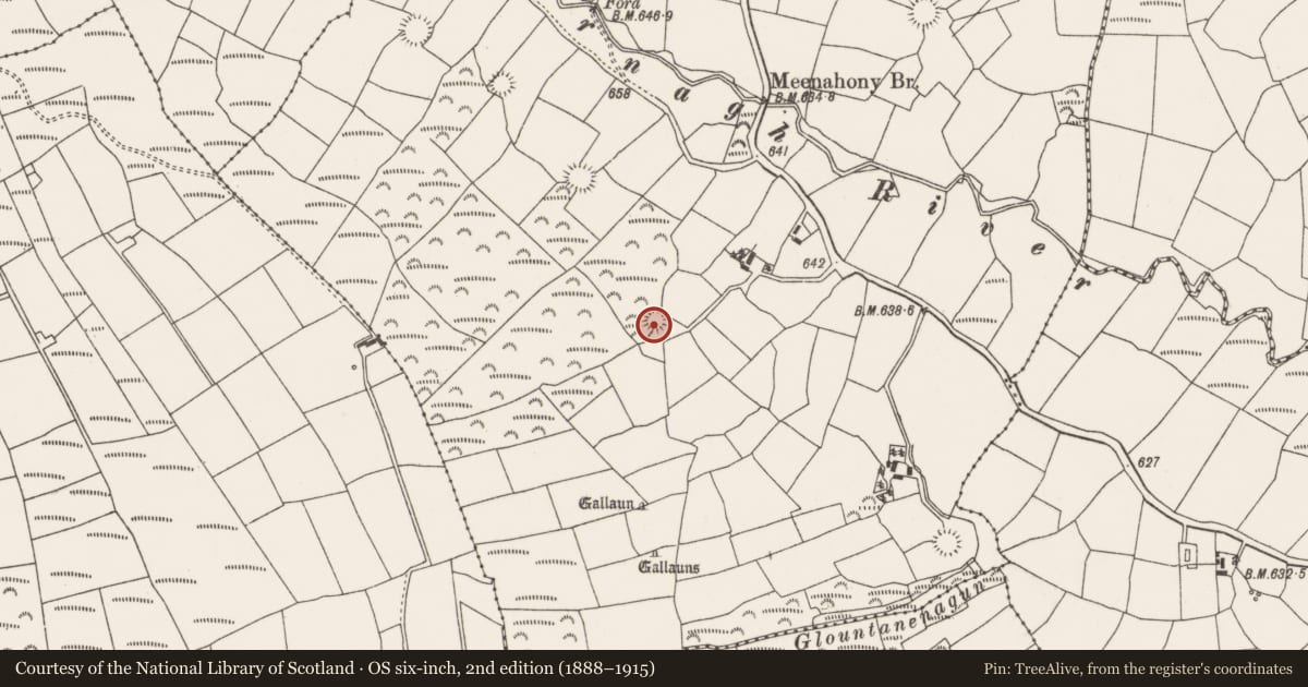 Ordnance Survey six-inch map, 2nd edition (1888–1915) covering the location of Souterrain, Meenahony, County Cork, with a pin at the register's coordinates