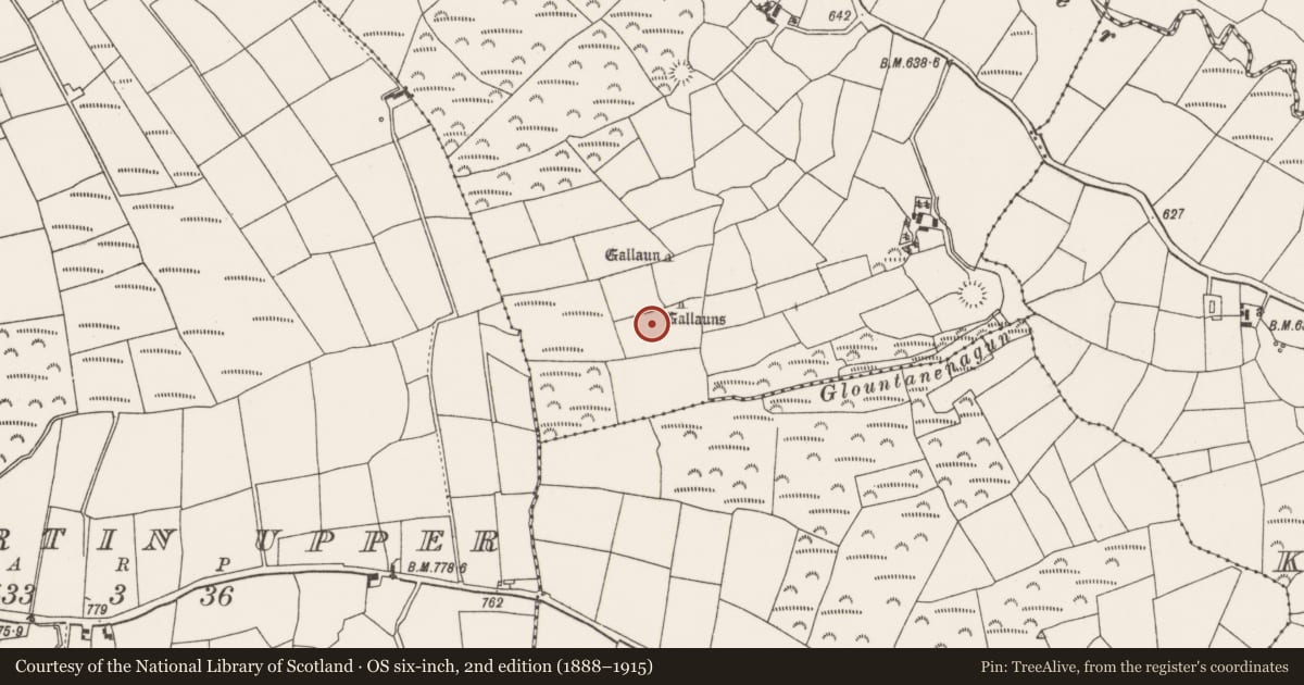 Ordnance Survey six-inch map, 2nd edition (1888–1915) covering the location of Standing stone - pair, Meenahony, County Cork, with a pin at the register's coordinates