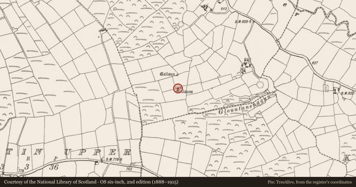 Ordnance Survey six-inch map, 2nd edition (1888–1915) covering the location of Standing stone, Meenahony, County Cork, with a pin at the register's coordinates
