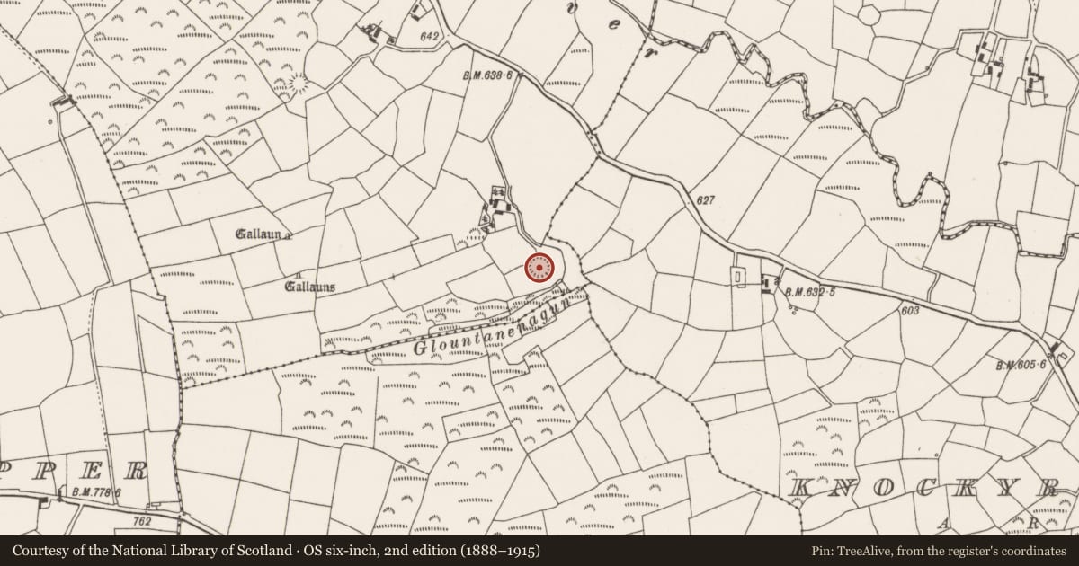 Ordnance Survey six-inch map, 2nd edition (1888–1915) covering the location of Ringfort - rath, Meenahony, County Cork, with a pin at the register's coordinates