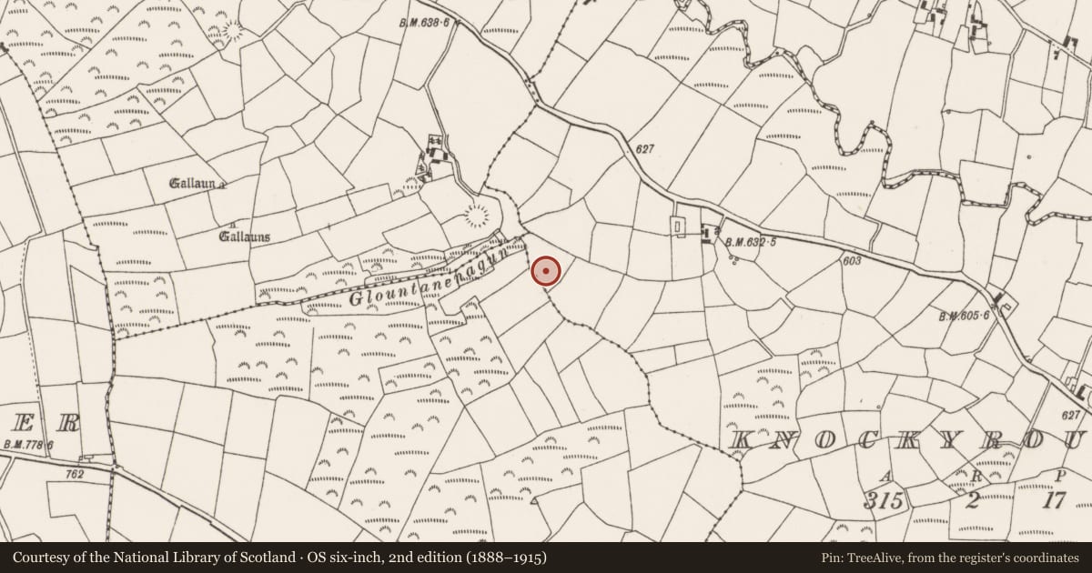 Ordnance Survey six-inch map, 2nd edition (1888–1915) covering the location of Standing stone, Knockyrourke, County Cork, with a pin at the register's coordinates
