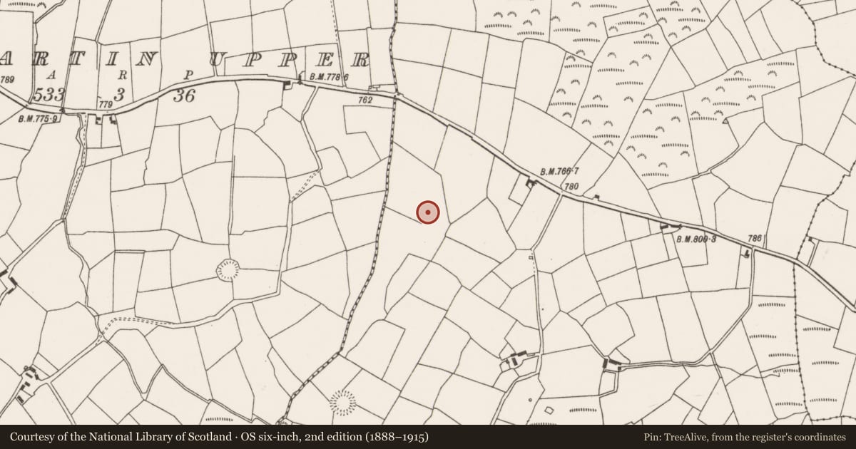 Ordnance Survey six-inch map, 2nd edition (1888–1915) covering the location of Fulacht fia, Coollicka, County Cork, with a pin at the register's coordinates