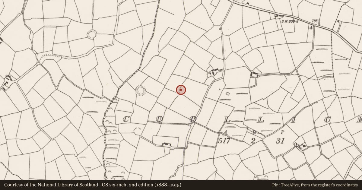 Ordnance Survey six-inch map, 2nd edition (1888–1915) covering the location of Standing stone, Coollicka, County Cork, with a pin at the register's coordinates