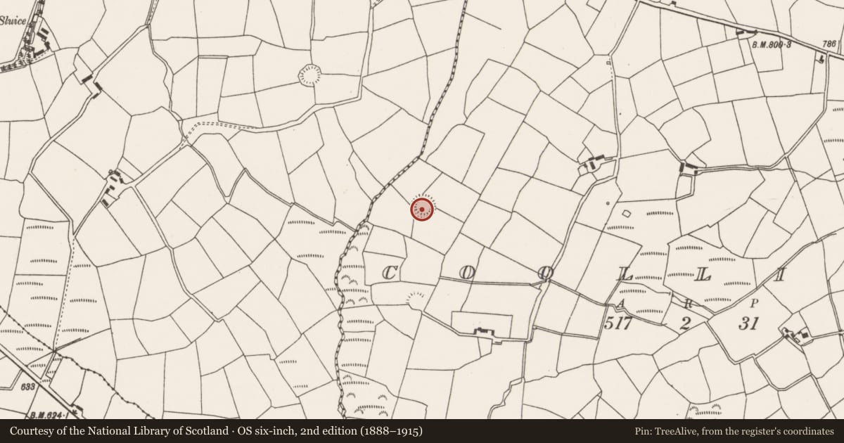 Ordnance Survey six-inch map, 2nd edition (1888–1915) covering the location of Ringfort - rath, Coollicka, County Cork, with a pin at the register's coordinates