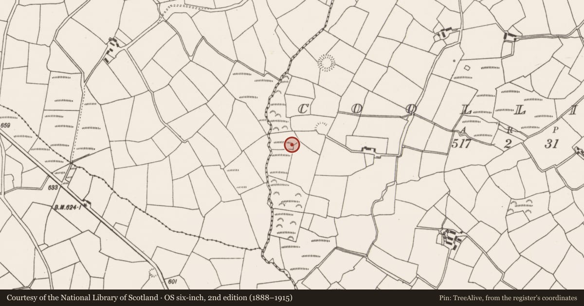 Ordnance Survey six-inch map, 2nd edition (1888–1915) covering the location of Standing stone, Coollicka, County Cork, with a pin at the register's coordinates