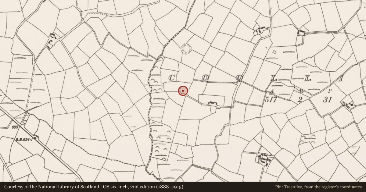 Ordnance Survey six-inch map, 2nd edition (1888–1915) covering the location of Ringfort - rath, Coollicka, County Cork, with a pin at the register's coordinates