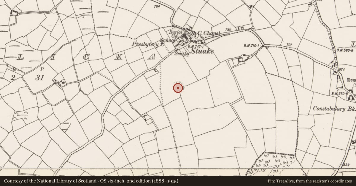 Ordnance Survey six-inch map, 2nd edition (1888–1915) covering the location of Ringfort - rath, Ballykerwick, County Cork, with a pin at the register's coordinates
