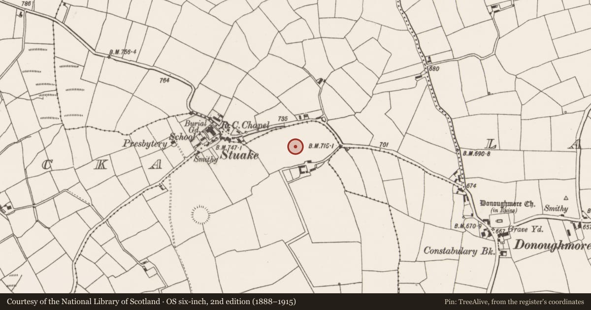 Ordnance Survey six-inch map, 2nd edition (1888–1915) covering the location of Standing stone, Ballykerwick, County Cork, with a pin at the register's coordinates