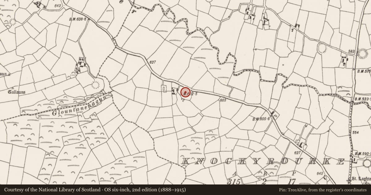 Ordnance Survey six-inch map, 2nd edition (1888–1915) covering the location of Burial ground, Knockyrourke, County Cork, with a pin at the register's coordinates