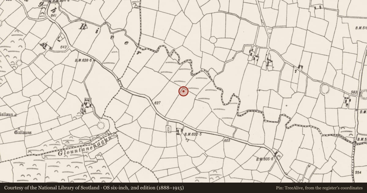 Ordnance Survey six-inch map, 2nd edition (1888–1915) covering the location of Fulacht fia, Knockyrourke, County Cork, with a pin at the register's coordinates