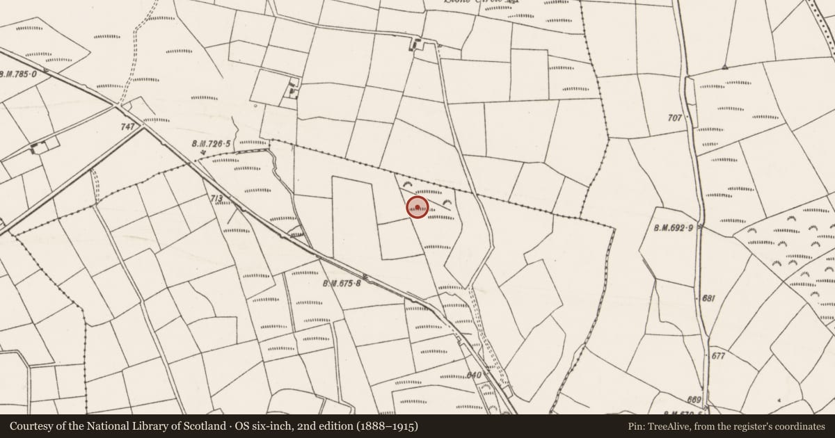 Ordnance Survey six-inch map, 2nd edition (1888–1915) covering the location of Fulacht fia, Gowlane South, County Cork, with a pin at the register's coordinates