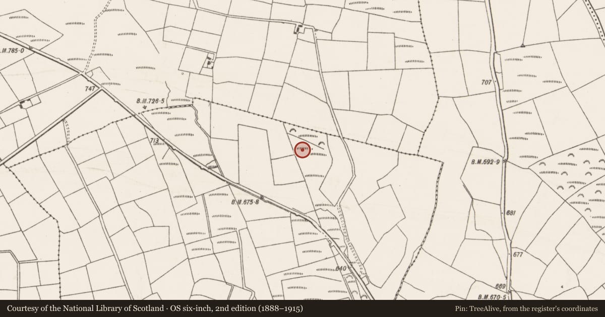 Ordnance Survey six-inch map, 2nd edition (1888–1915) covering the location of Fulacht fia, Gowlane South, County Cork, with a pin at the register's coordinates