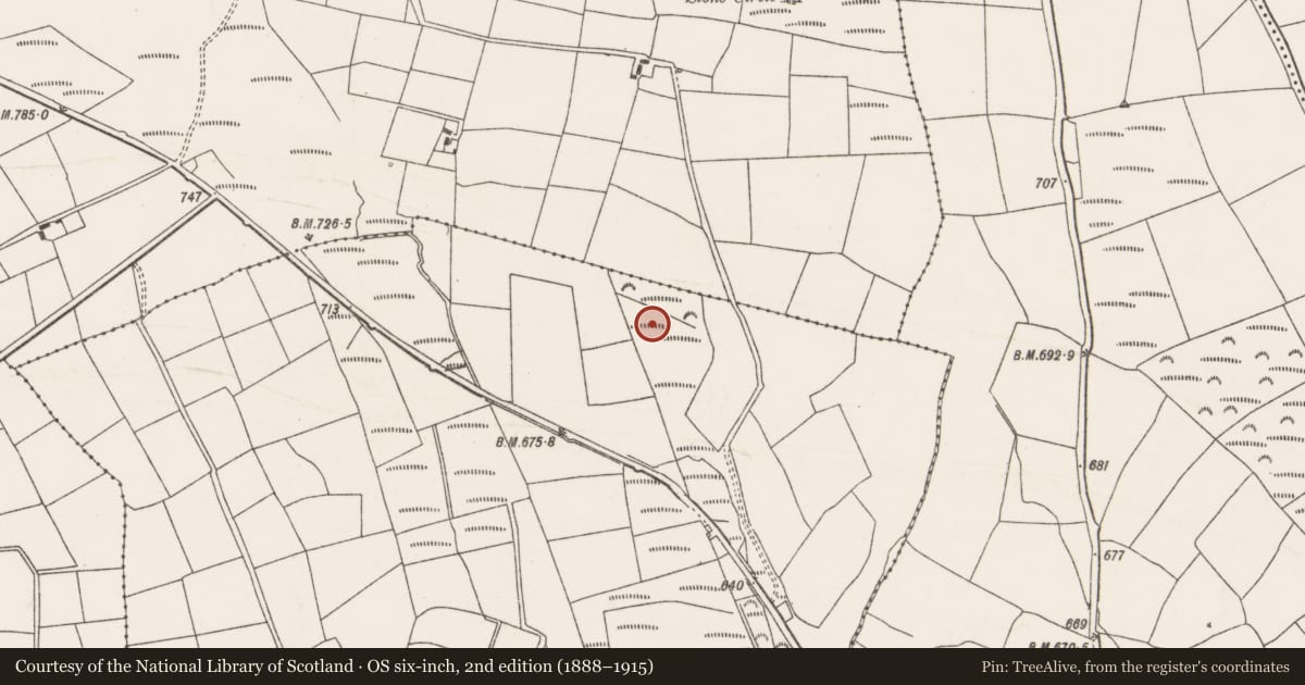 Ordnance Survey six-inch map, 2nd edition (1888–1915) covering the location of Fulacht fia, Gowlane South, County Cork, with a pin at the register's coordinates