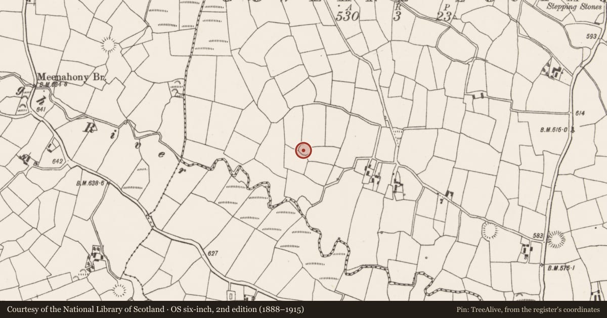 Ordnance Survey six-inch map, 2nd edition (1888–1915) covering the location of Ringfort - rath, Gowlane South, County Cork, with a pin at the register's coordinates