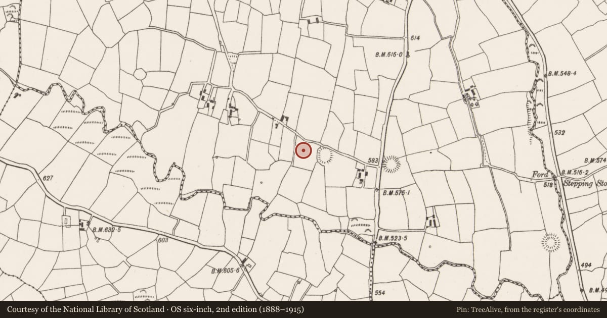 Ordnance Survey six-inch map, 2nd edition (1888–1915) covering the location of Ringfort - rath, Gowlane South, County Cork, with a pin at the register's coordinates