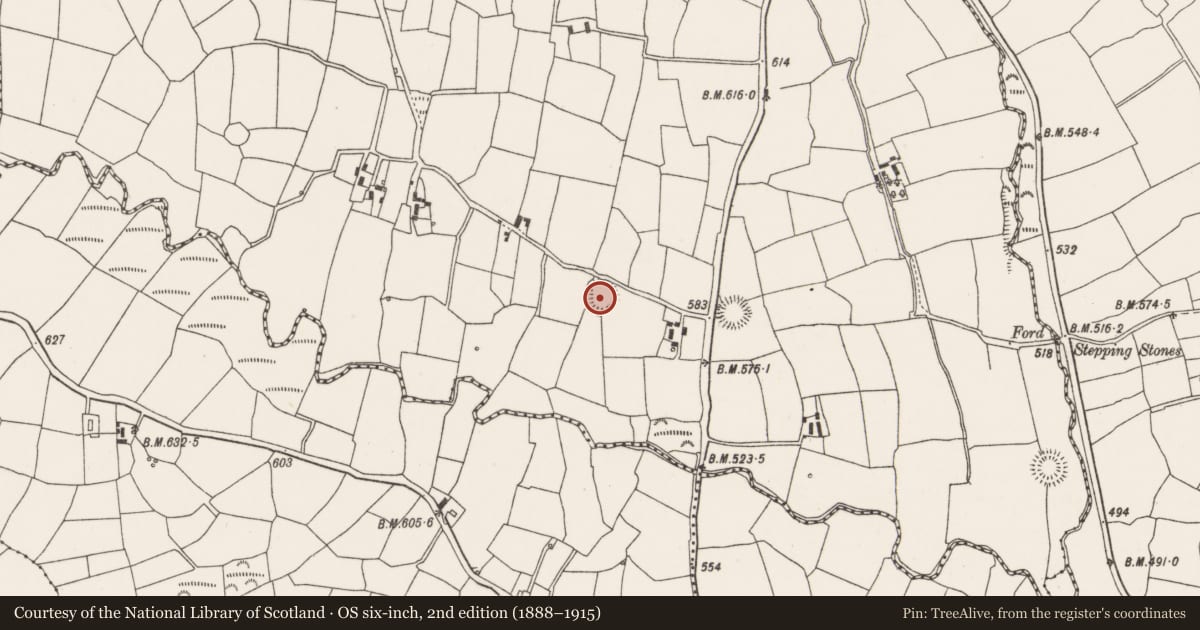 Ordnance Survey six-inch map, 2nd edition (1888–1915) covering the location of Ringfort - rath, Gowlane South, County Cork, with a pin at the register's coordinates