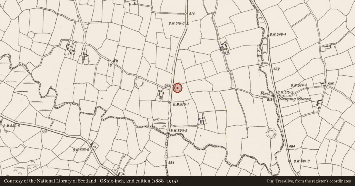 Ordnance Survey six-inch map, 2nd edition (1888–1915) covering the location of Ringfort - rath, Gowlane South, County Cork, with a pin at the register's coordinates