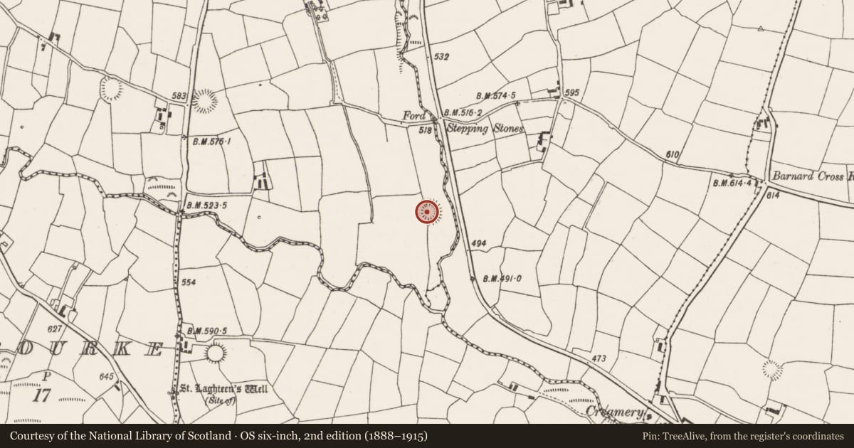 Ordnance Survey six-inch map, 2nd edition (1888–1915) covering the location of Souterrain, Gowlane South, County Cork, with a pin at the register's coordinates