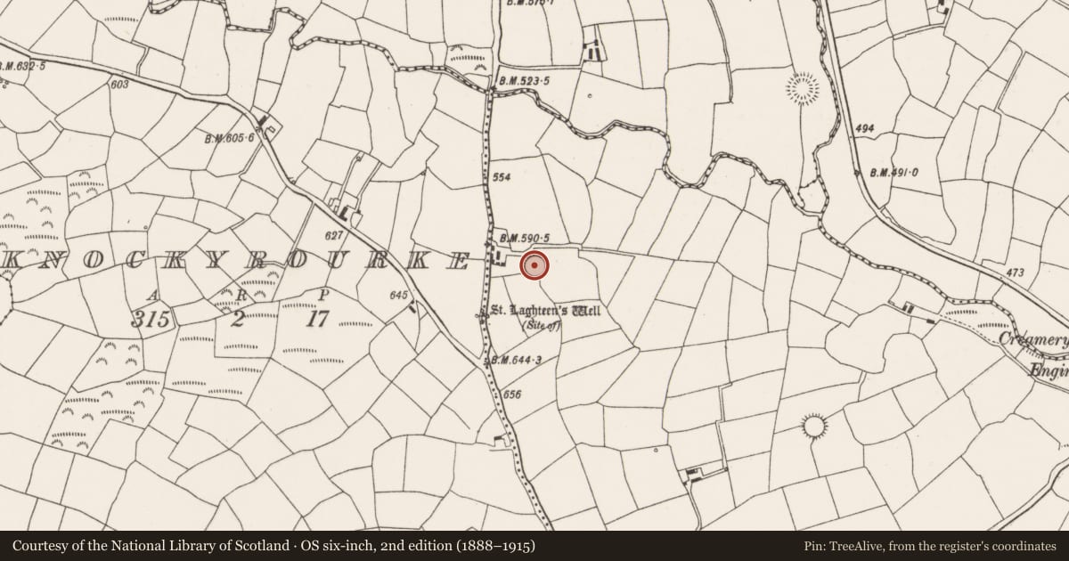 Ordnance Survey six-inch map, 2nd edition (1888–1915) covering the location of Ringfort - rath, Lackabane, County Cork, with a pin at the register's coordinates