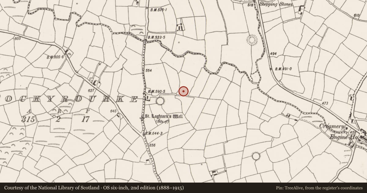 Ordnance Survey six-inch map, 2nd edition (1888–1915) covering the location of Standing stone, Lackabane, County Cork, with a pin at the register's coordinates