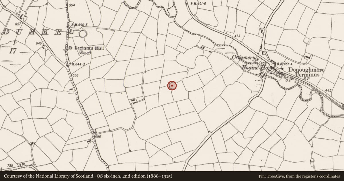Ordnance Survey six-inch map, 2nd edition (1888–1915) covering the location of Ringfort - rath, Lackabane, County Cork, with a pin at the register's coordinates