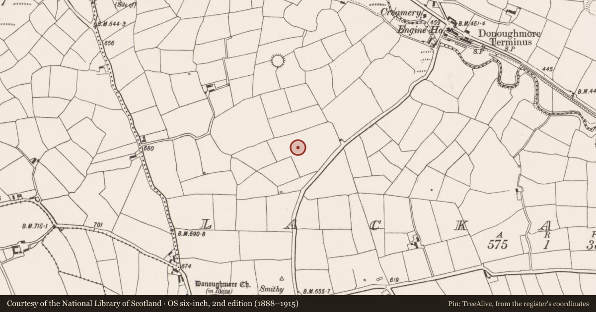 Ordnance Survey six-inch map, 2nd edition (1888–1915) covering the location of Standing stone, Lackabane, County Cork, with a pin at the register's coordinates